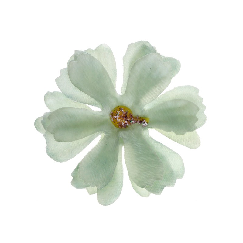 12 FLEURS A PARSEMER SAUGE