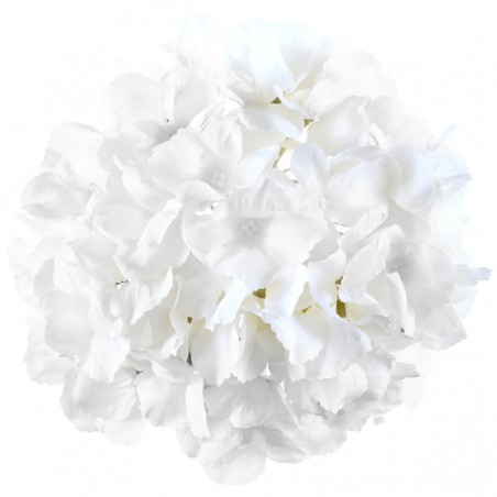 HORTENSIA BLANC