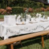 NAPPE BOTANIQUE