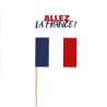 12 PICS DECO "ALLEZ LA FRANCE"