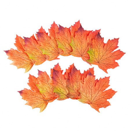 12 FEUILLES D'ERABLES