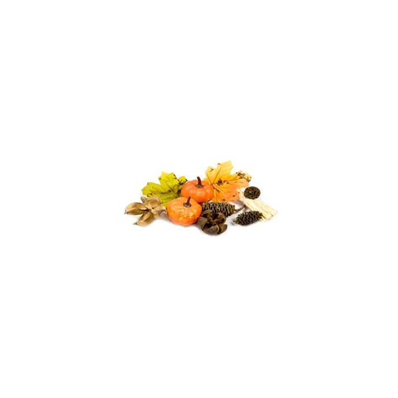 ASSORTIMENT DECO AUTOMNE