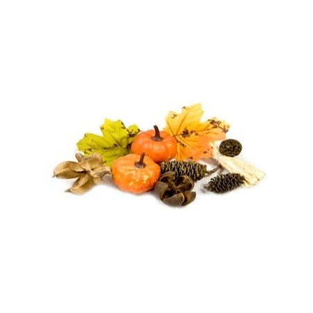 ASSORTIMENT DECO AUTOMNE