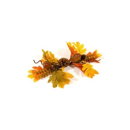 FAGOT D'AUTOMNE