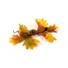 FAGOT D'AUTOMNE