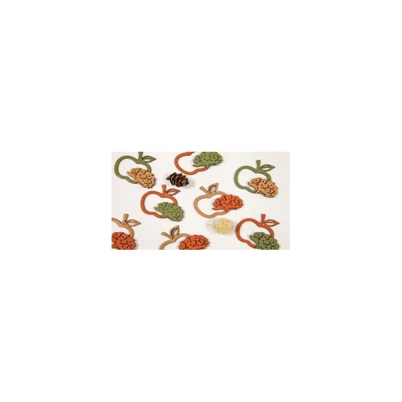 10 DECOS POMME / HERISSON