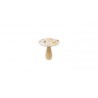 CHAMPIGNON BOIS PM