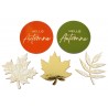 10 DECOS AUTOMNE