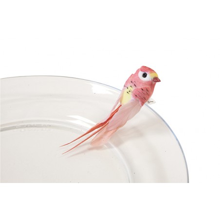 PERRUCHE SUR  PINCE X2 CORAIL