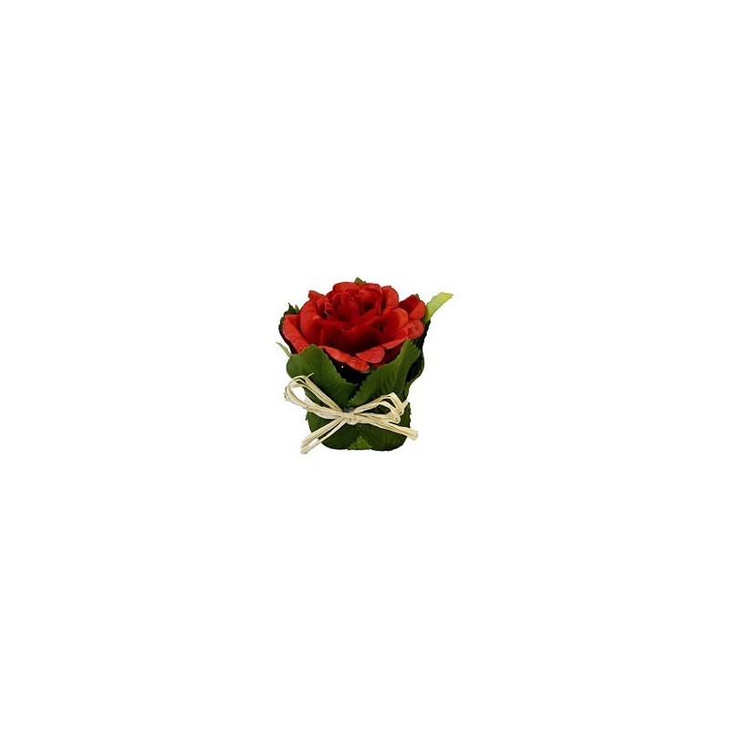 ROSE DANS POT AVEC FEUILLAGE
