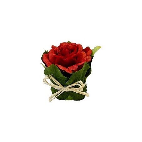 ROSE DANS POT AVEC FEUILLAGE