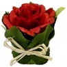 ROSE DANS POT AVEC FEUILLAGE