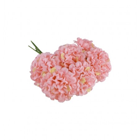 MINI HORTENSIAS X6 ROSES