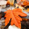 FEUILLES D'ERABLE X6
