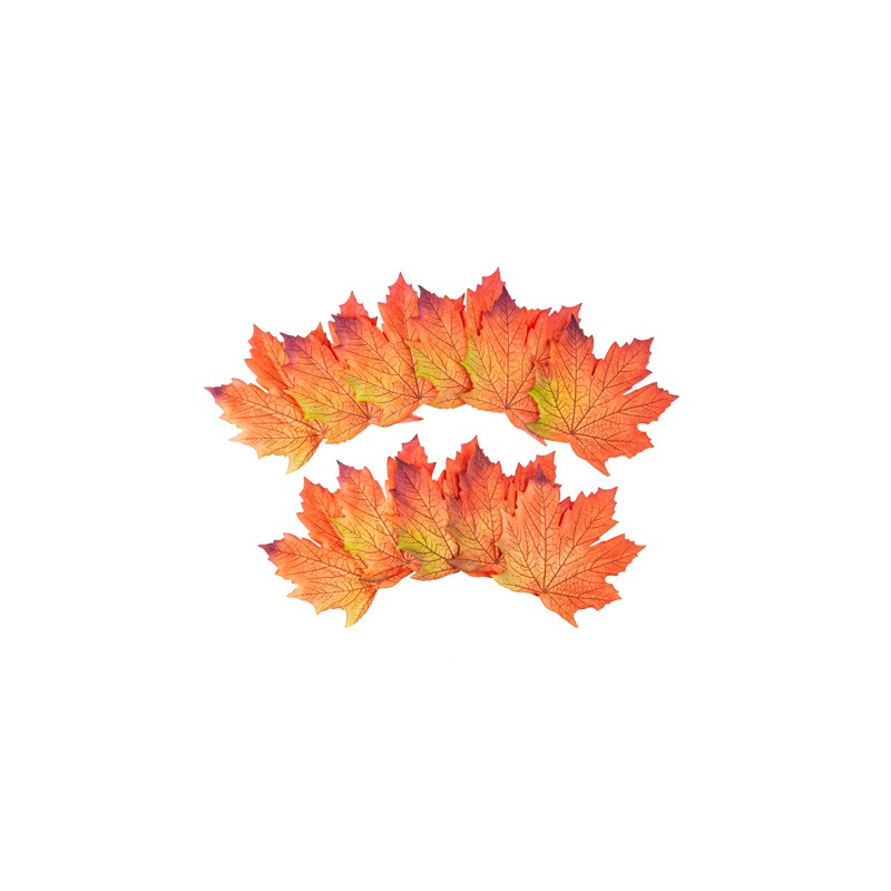 12 FEUILLES D'ERABLE