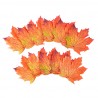 12 FEUILLES D'ERABLE