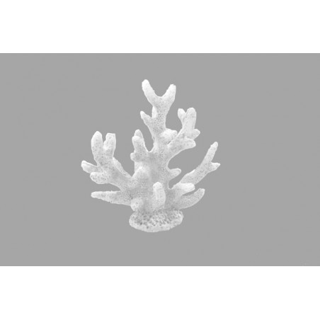 CORAIL EN RESINE