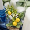 Composition Citron et feuillage