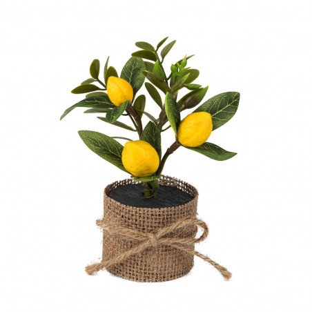 Composition Citron et feuillage
